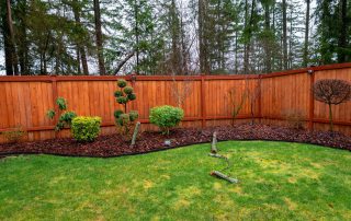 cedar fence stain