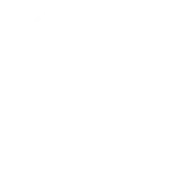 Estimates-W